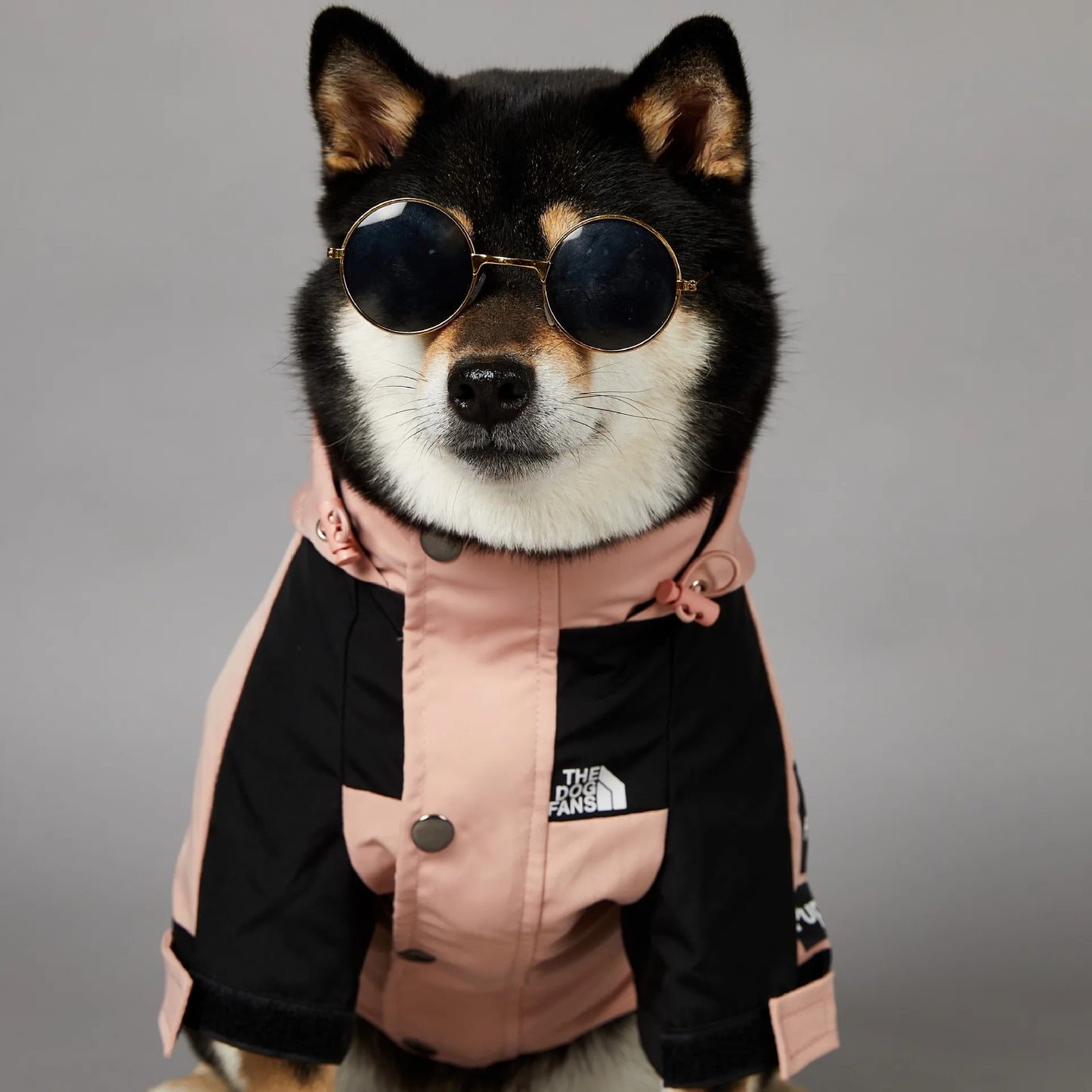 Stylish and Functional Dog Raincoat - Perfect Windbreaker for Small to Large Dogs, Ideal for All Seasons!