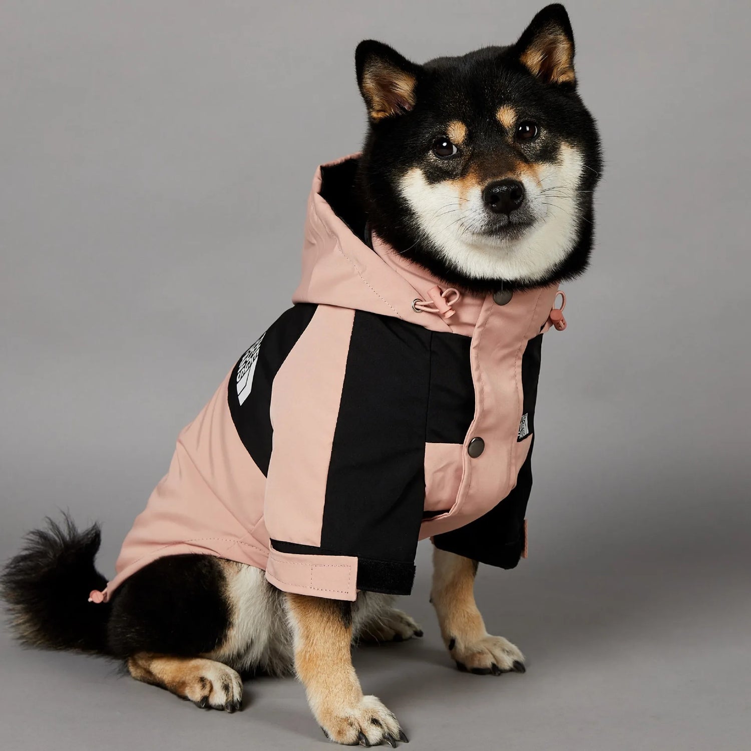 Stylish and Functional Dog Raincoat - Perfect Windbreaker for Small to Large Dogs, Ideal for All Seasons!