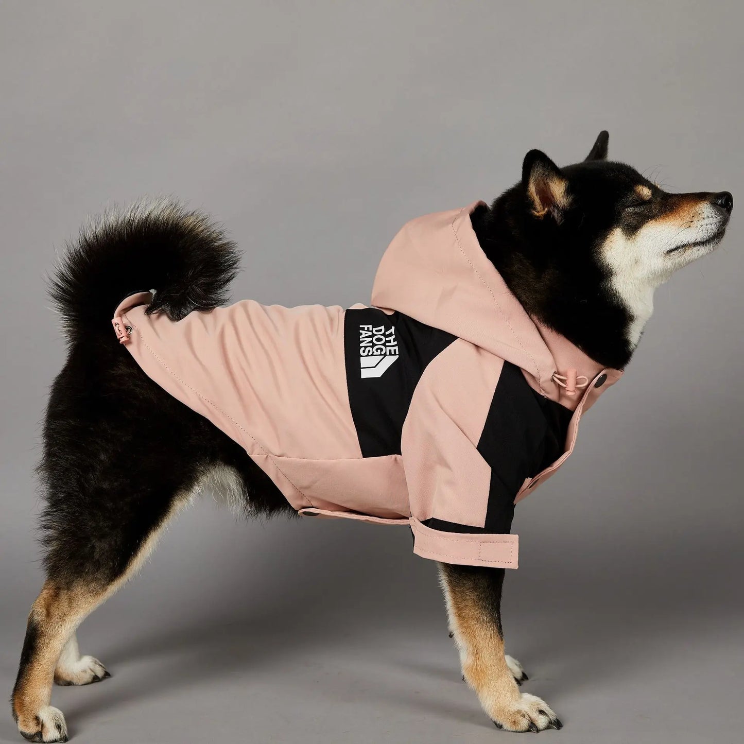 Stylish and Functional Dog Raincoat - Perfect Windbreaker for Small to Large Dogs, Ideal for All Seasons!