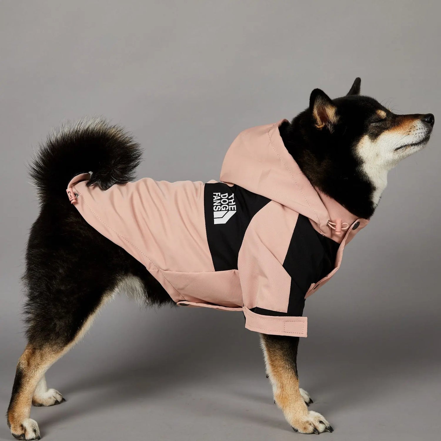 Stylish and Functional Dog Raincoat - Perfect Windbreaker for Small to Large Dogs, Ideal for All Seasons!